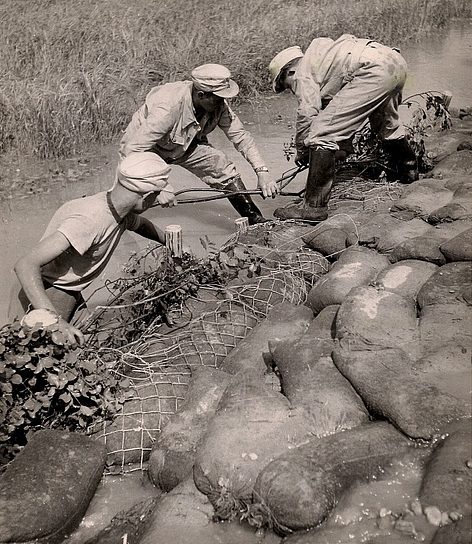 Служащие TeNo за работой. 1938 г. 