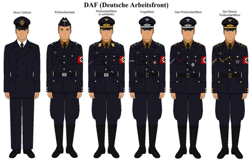 Рисунок поздней униформы различных чинов DAF.