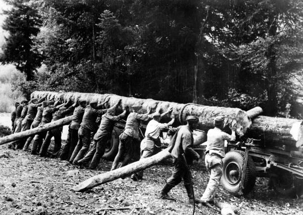 Погрузка стволов деревьев для строительства моста на Кавказе организацией Тодта. 1942 г. 