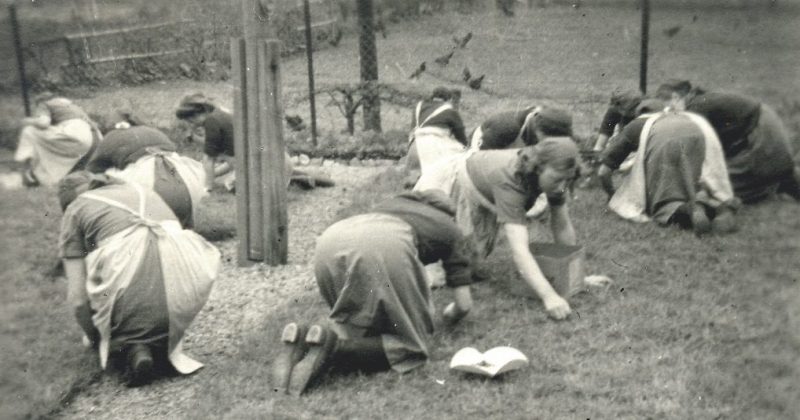 Горничные из RAD в Аллмендфельде вырывают сорняки. 1939 г.