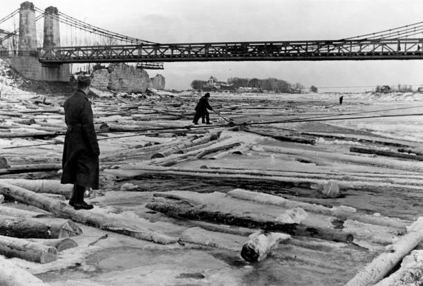 Крестьяне собирают выброшенные на берег стволы деревьев для дальнейшей переработки на лесопилке Тодта на Восточном фронте. 1943 г. 