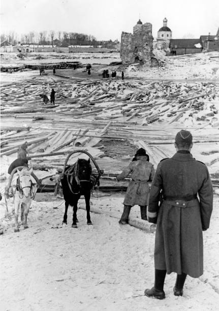 Крестьяне собирают выброшенные на берег стволы деревьев для дальнейшей переработки на лесопилке Тодта на Восточном фронте. 1943 г. 