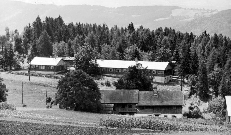 Лагерь трудовой повинности RAD. 1940 г.