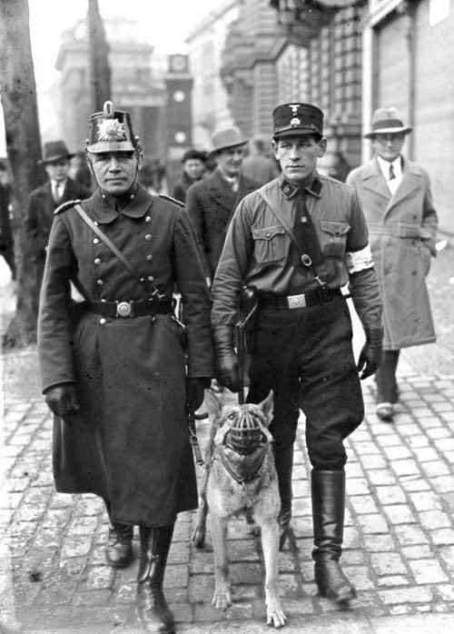 Член СА и полицейский патрулируют Берлин в день выборов в Рейхстаг. 1933 г.