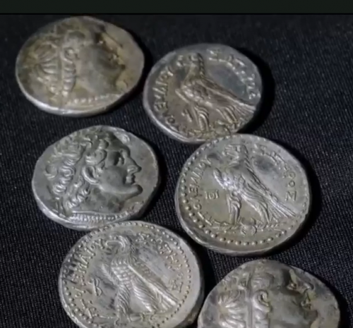 Так смотрятся монеты рода Маккавеев.