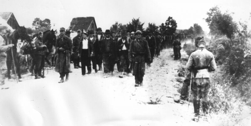 Немцы и усташи конвоируют арестованных в концлагерь. 1941 г.