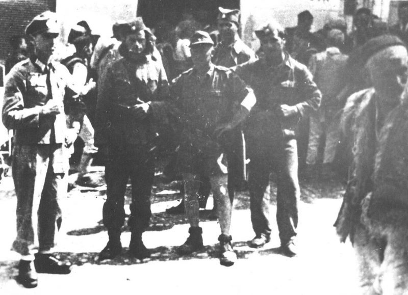 Четники и немцы в Герцеговине в 1943 году.