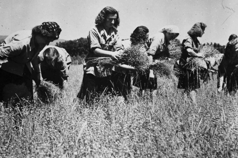 Пропагандистские фото представителей усташской молодежи. 1942 г.
