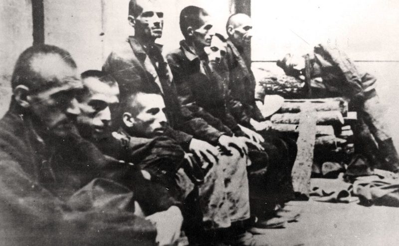 Интернированные сербы из концлагеря Ясеновац. Хорватия, 1942 г.