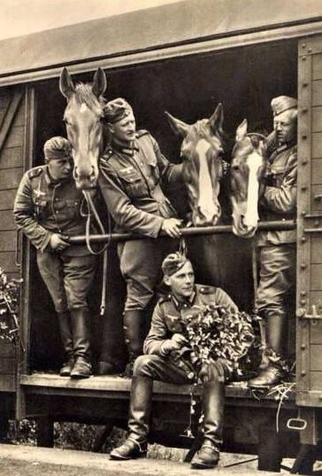 Кавалеристы в Голландии. 1940 г. 
