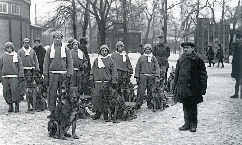 Сторожевые собаки ОСОАВИАХИМа. Ленинград, 1934 г.
