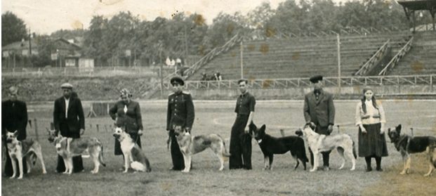 Выставка собак в ОСОАВИАХИМе. 1936 г.