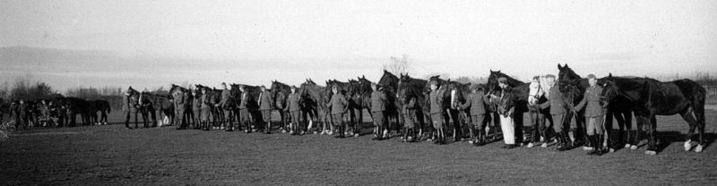 489-го пехотного полка Вермахта во время оккупации Дании у Рингстеда-Казерна. 1941 г.
