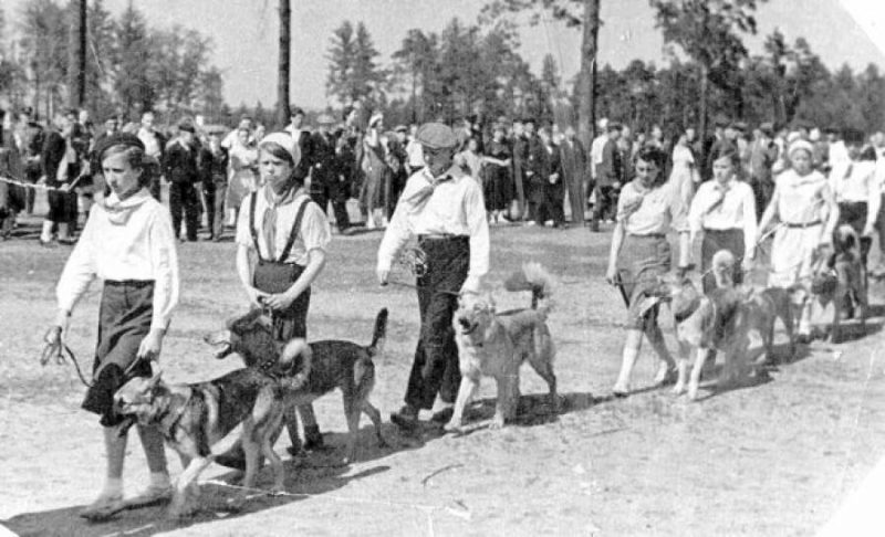 Юные собаководы в парке Сосновка. 1939 г.