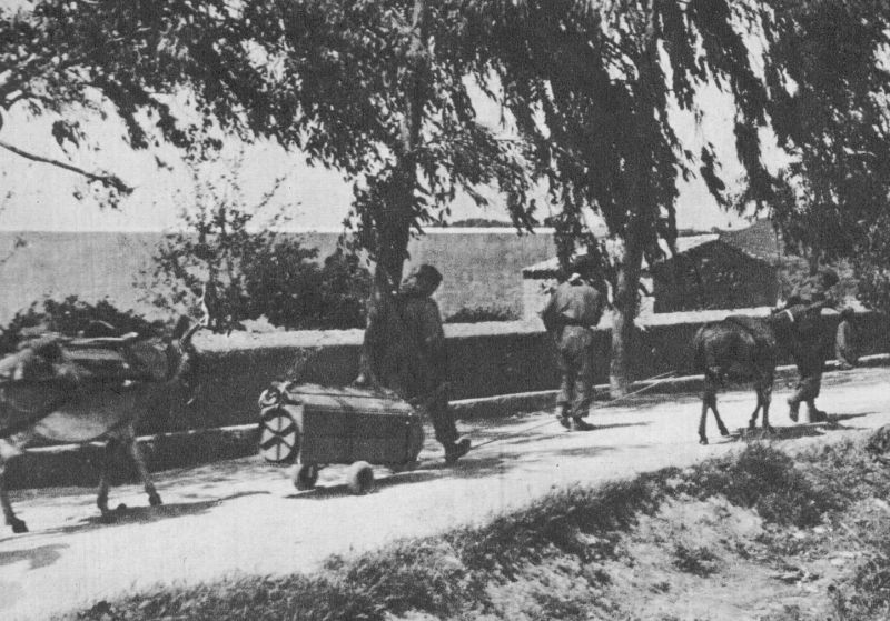 Немецкие парашютисты перевозят боеприпасы при помощи вьючных ослов. Май 1941 г.