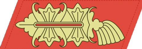 Рисунок генеральской петлицы и погона с использованием темно-красного цвета. 