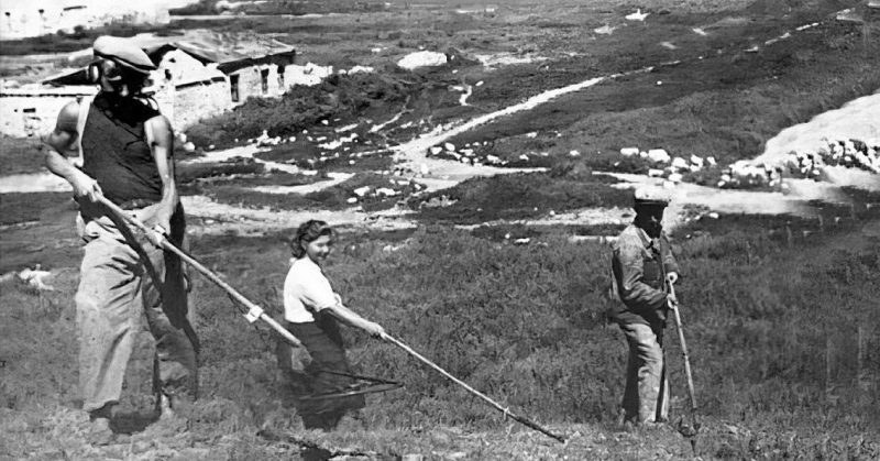 Курсанты ОСОАВИАХИМа проходят обучение с минной подготовки. 1944 г.