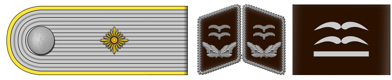 Рисунок погона, петлиц и нарукавная нашивка обер-лейтенанта (Oberleutnant).