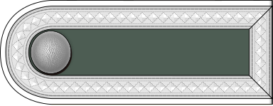 Рисунок погона и нарукавной нашивки Unterfeldwebel.
