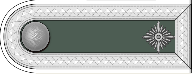 Рисунок погона и нарукавной нашивки Feldwebel Wachtmeister.