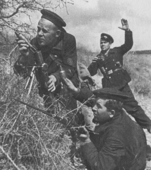 Минометный расчет главного старшины М.П. Наумова на позиции под Севастополем. 1942 г.