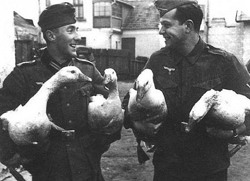 Немецкие солдаты на военной кухне. Польша, 1939 г. 
