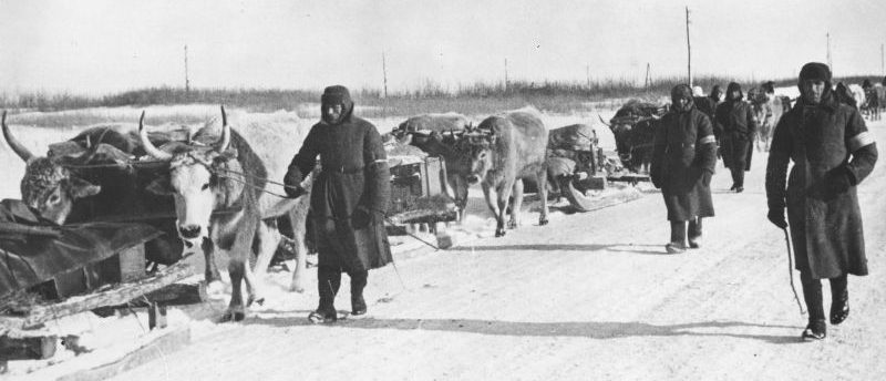«Хиви», доставляющие грузы в районе реки Донец. 1943 г.