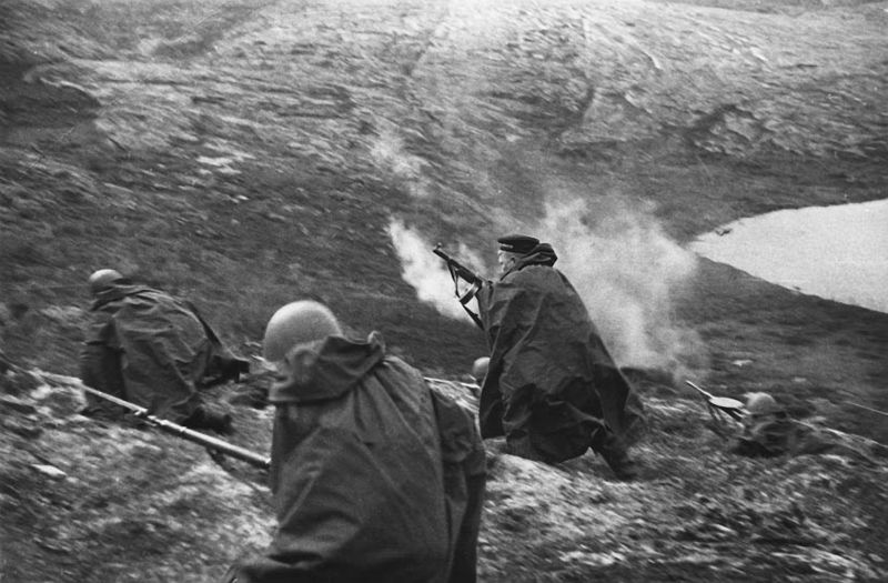 Бой на полуострове Рыбачий. 1944 г.