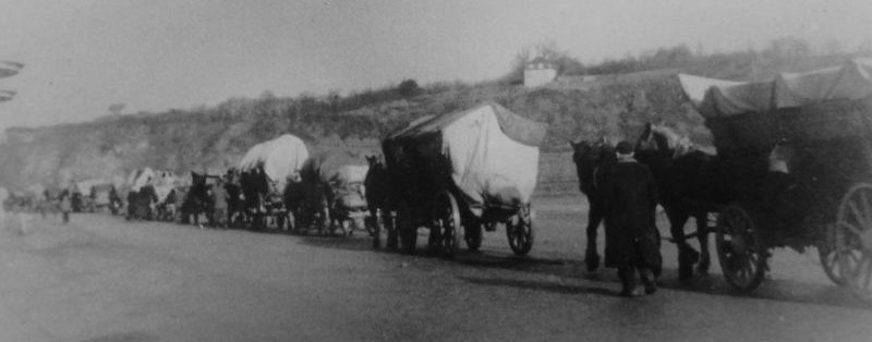 Повозки немецких беженцев на дороге под Майсеном. Апрель 1945 г.