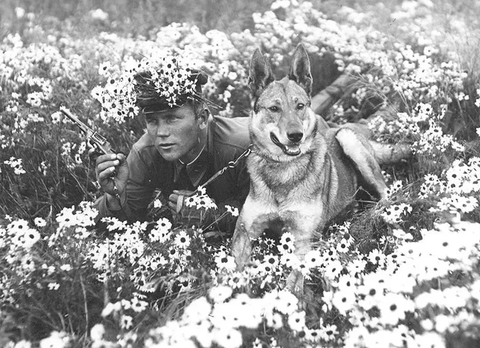 Советские пограничники с собакой в дозоре. 1939 г. 