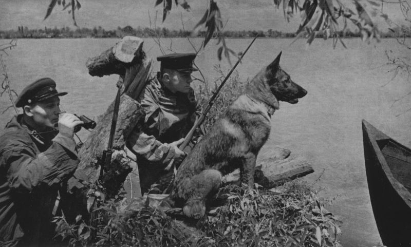 Пограничники в секрете в районе поселка Вилково в дельте Дуная. 1941 г. 