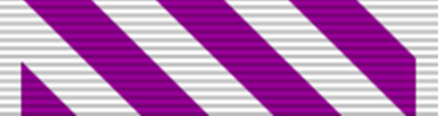 Орденская планка креста «За выдающиеся летные заслуги».