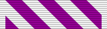 Орденская колодка креста «За выдающиеся летные заслуги».