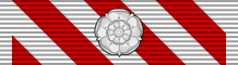 Орденская планка креста ВВС с розеткой повторного награждения.