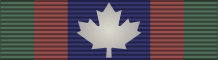 Орденская планка медали канадской добровольческой службы с розеткой «За службу за рубежом». 