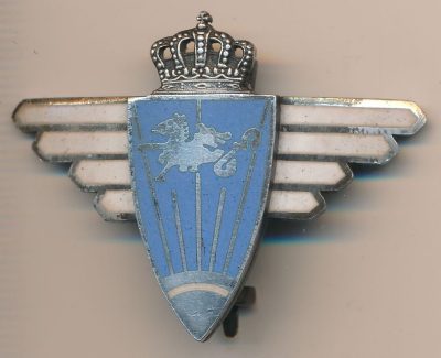 Знак Ясского авиационного полка.