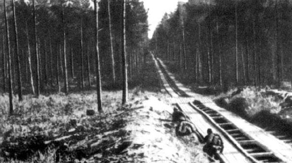 Колейный участок Фронтовой военно-автомобильной дороги Волховского фронта, через лесисто-болотистую местность, у Ладожского озера.