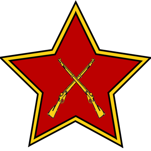 Эмблема войск внутренней охраны Республики (ВОХР).