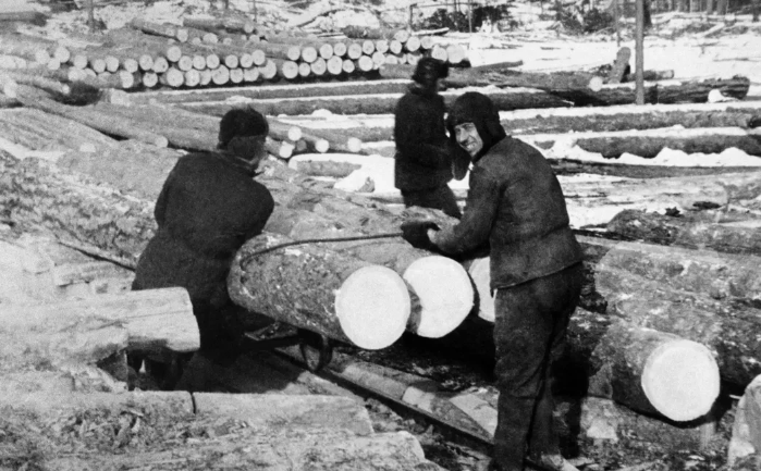 Узники ГУЛАГа на лесозаготовках. 1940 г.