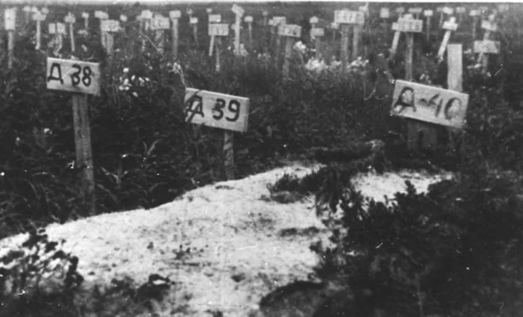 Типовое кладбище умерших узников ГУЛАГа. 1940 г. 