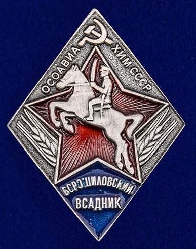 Значки «Ворошиловский всадник» 2-й степени.