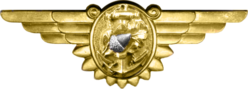 Знак медсестры ВМФ.