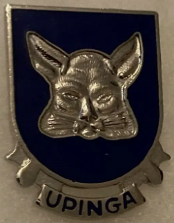 Знак 1-го разведывательного батальона.