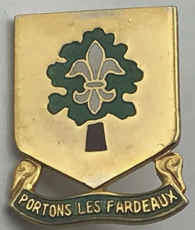 Знак 101-го батальона поддержки армии.