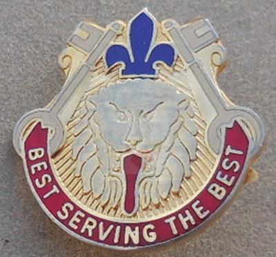 Знак 56-го батальона поддержки.