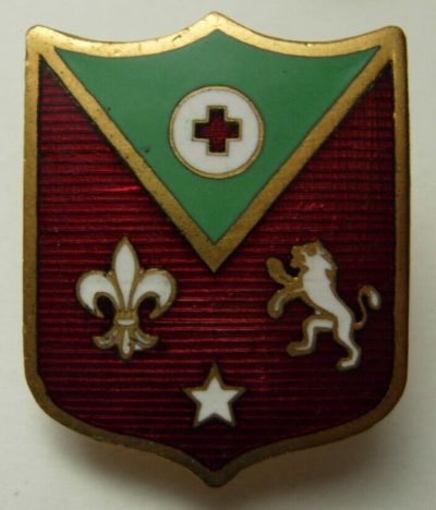 Знаки 102-го медицинского батальона.