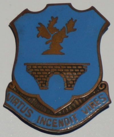 Знак 120-го пехотного полка.