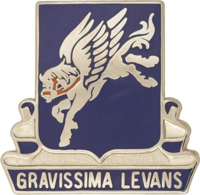 Знак 169-го авиационного батальона.