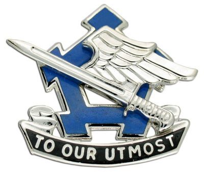 Знак 173-го батальона поддержки.