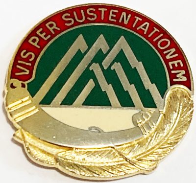 Знак 70-го батальона поддержки.